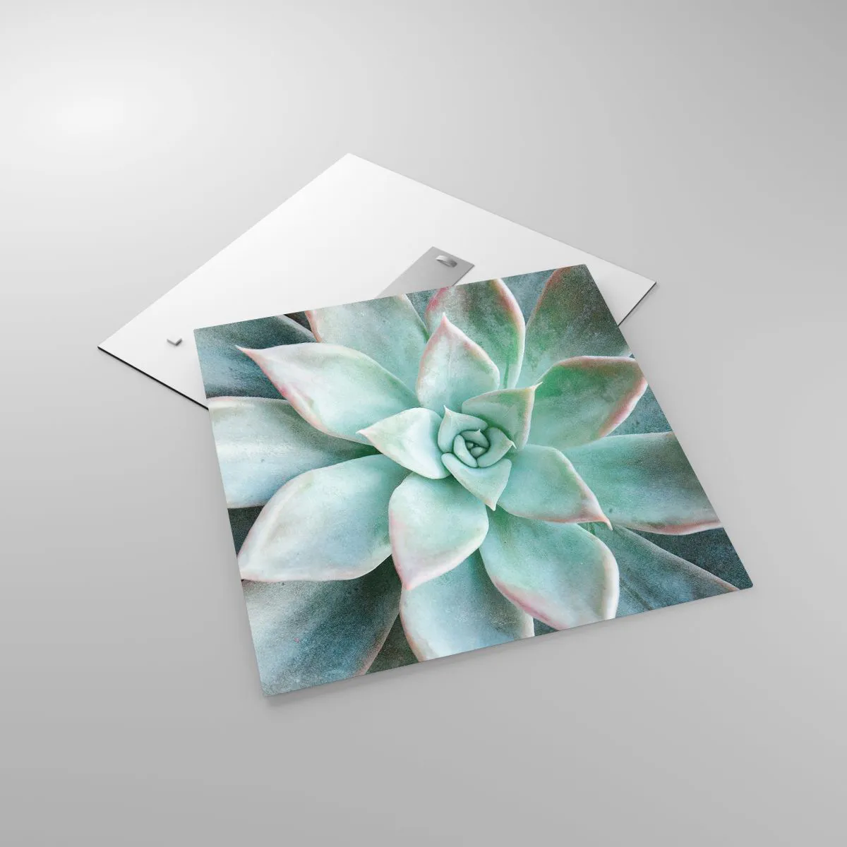 Obraz na skle - Srdce pouště - 60x60 cm