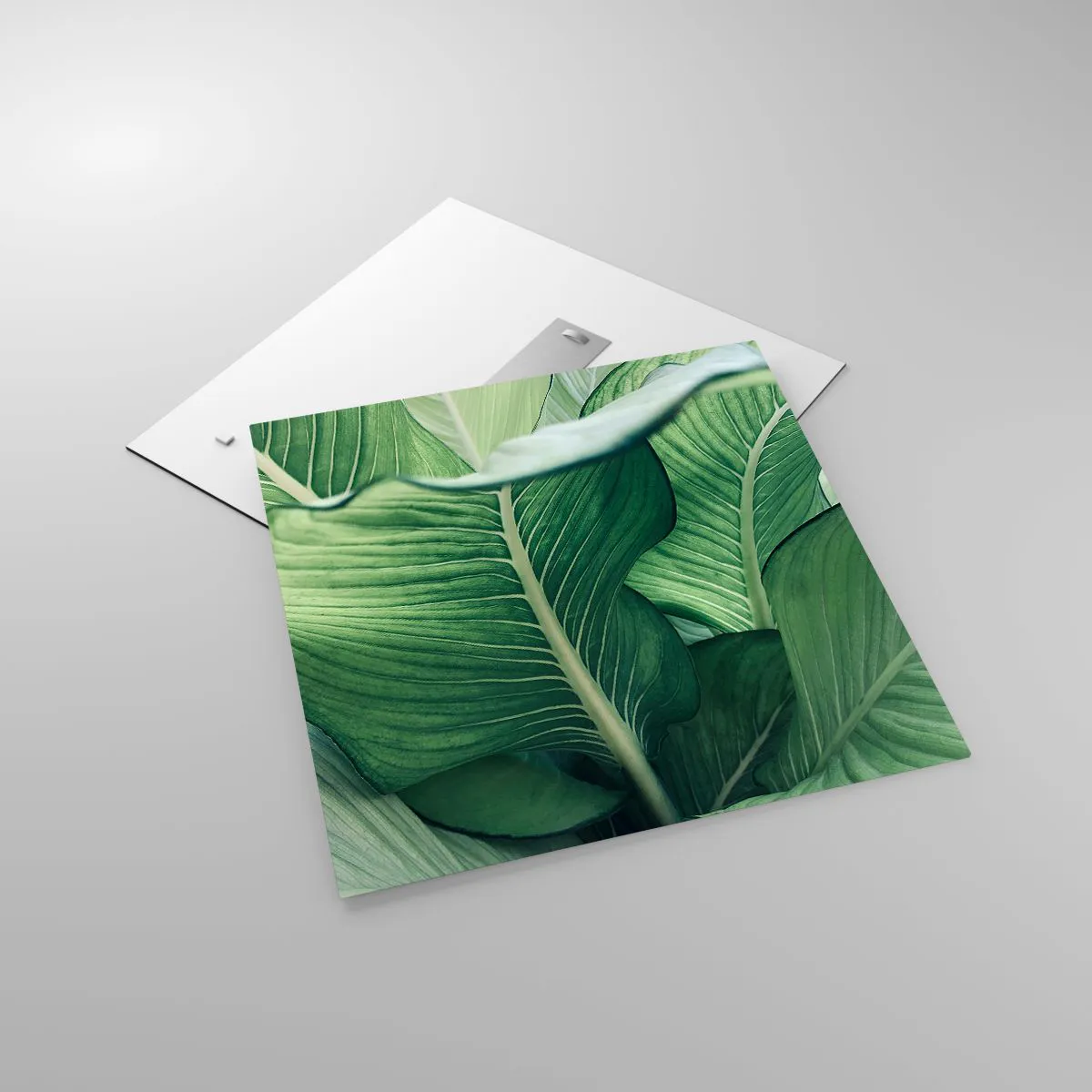 Impression sur verre - Image sur verre - Une vie intensément verte - 60x60 cm