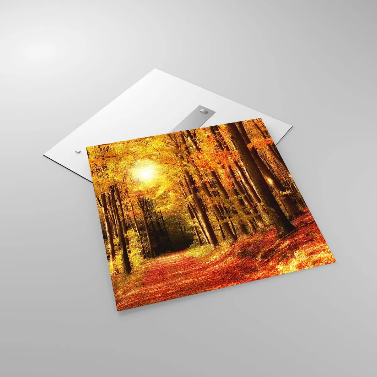 Tablou pe sticlă - Toamna de aur pe un drum forestier - 70x70 cm