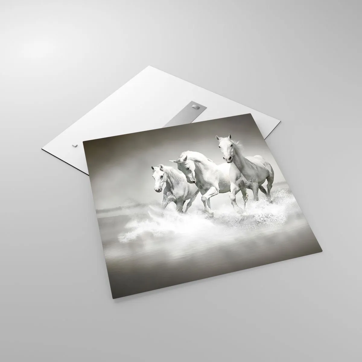 Obraz na skle - Bílé šílenství - 70x70 cm