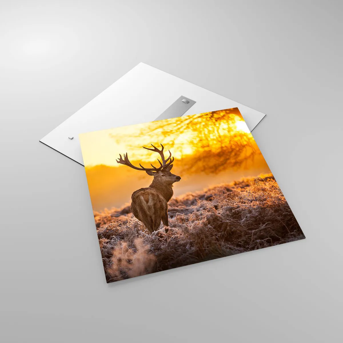 Impression sur verre - Image sur verre - Roi de la forêt automnal - 70x70 cm