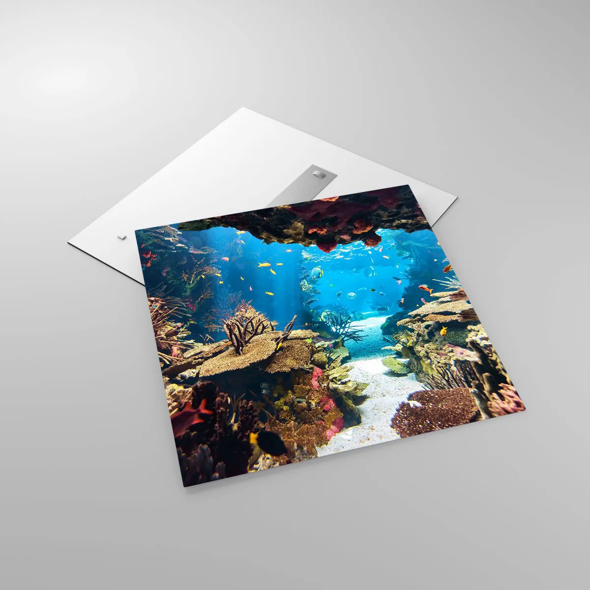 Impression sur verre - Image sur verre - Tu ne l'as même pas rêvé - 70x70 cm