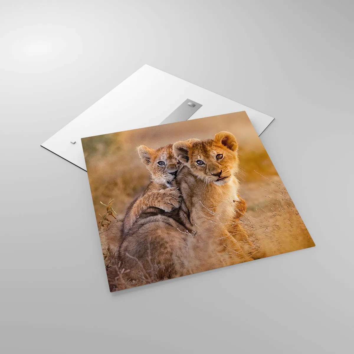 Obraz na skle - Nevyrušovať! Hrajme sa - 70x70 cm