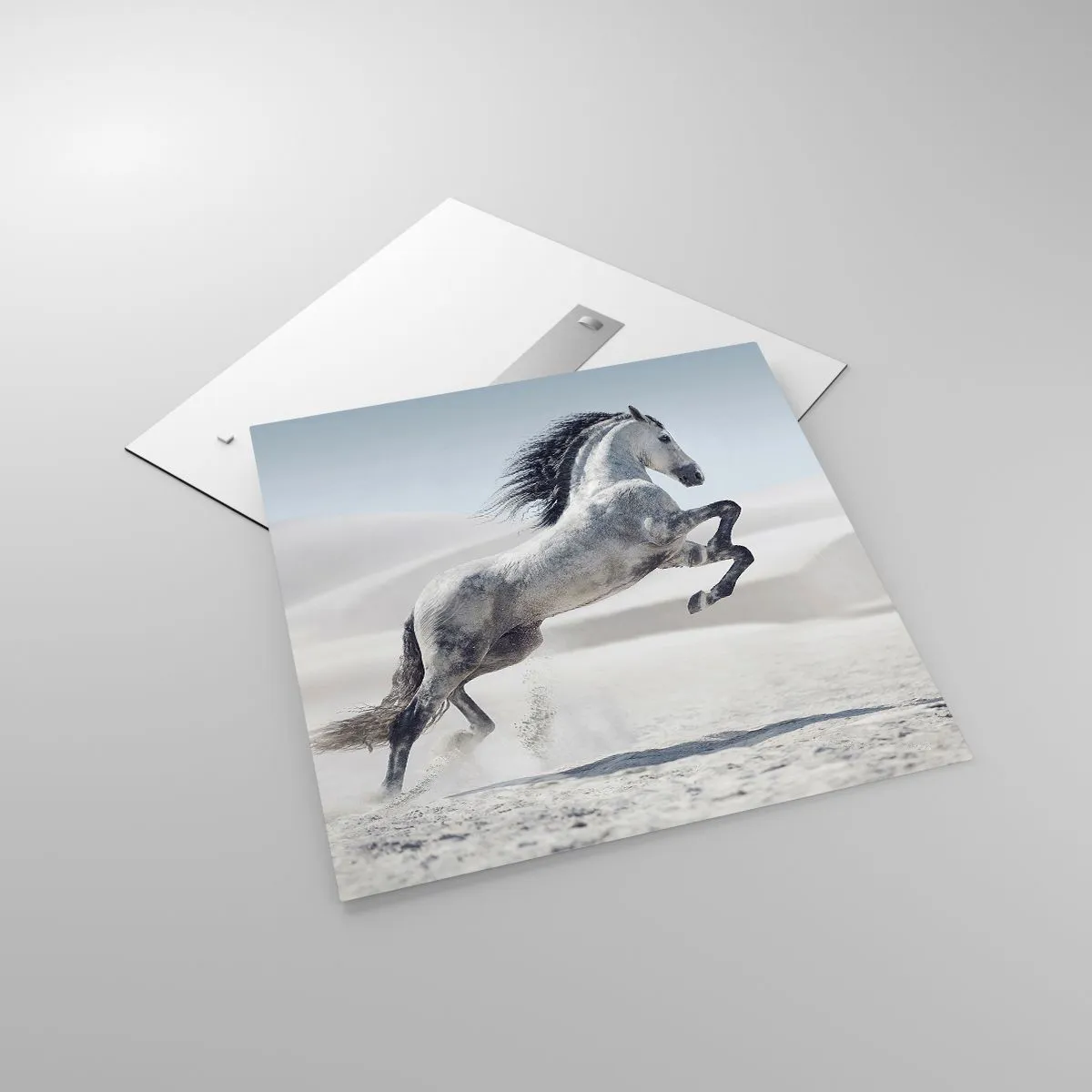 Obraz na skle - Arabský kníže - 70x70 cm