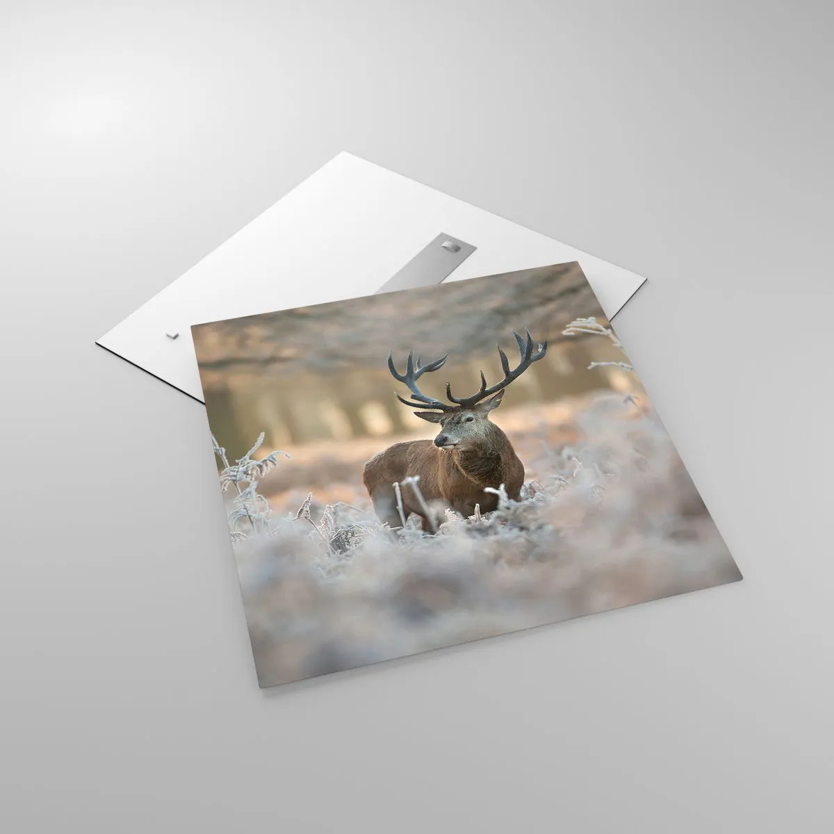 Quadro su vetro - Fresco mattino - 70x70 cm