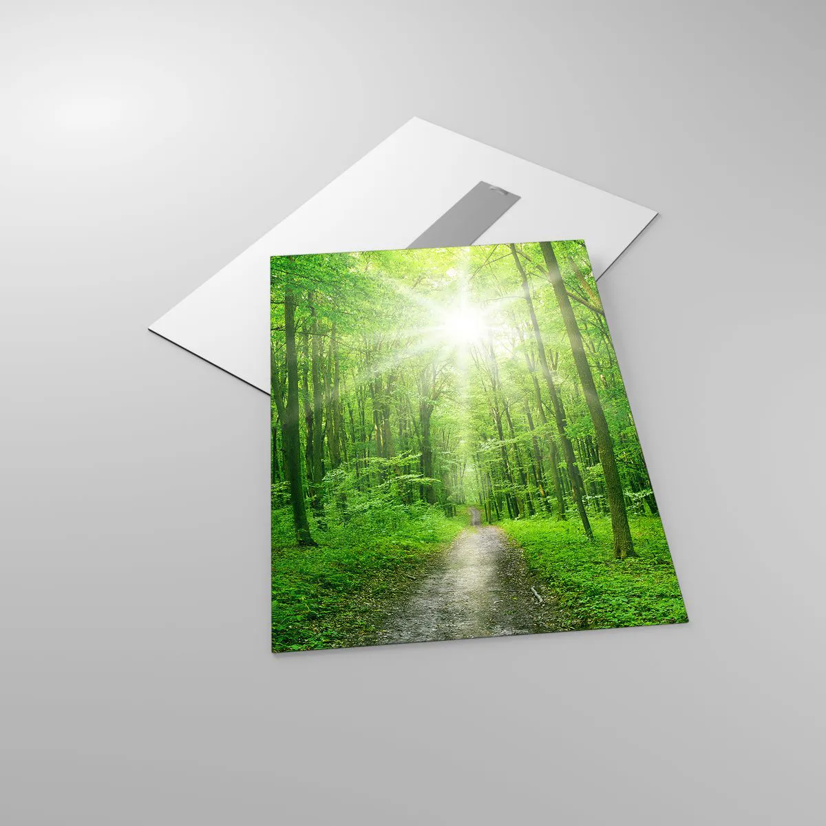 Cuadro sobre vidrio - Impresiones sobre Vidrio - Un camino en el bosque iluminado por los rayos del sol. - 50x70cm - Catedral verde - Decoración de pared moderna para salón y dormitorio ARTTOR