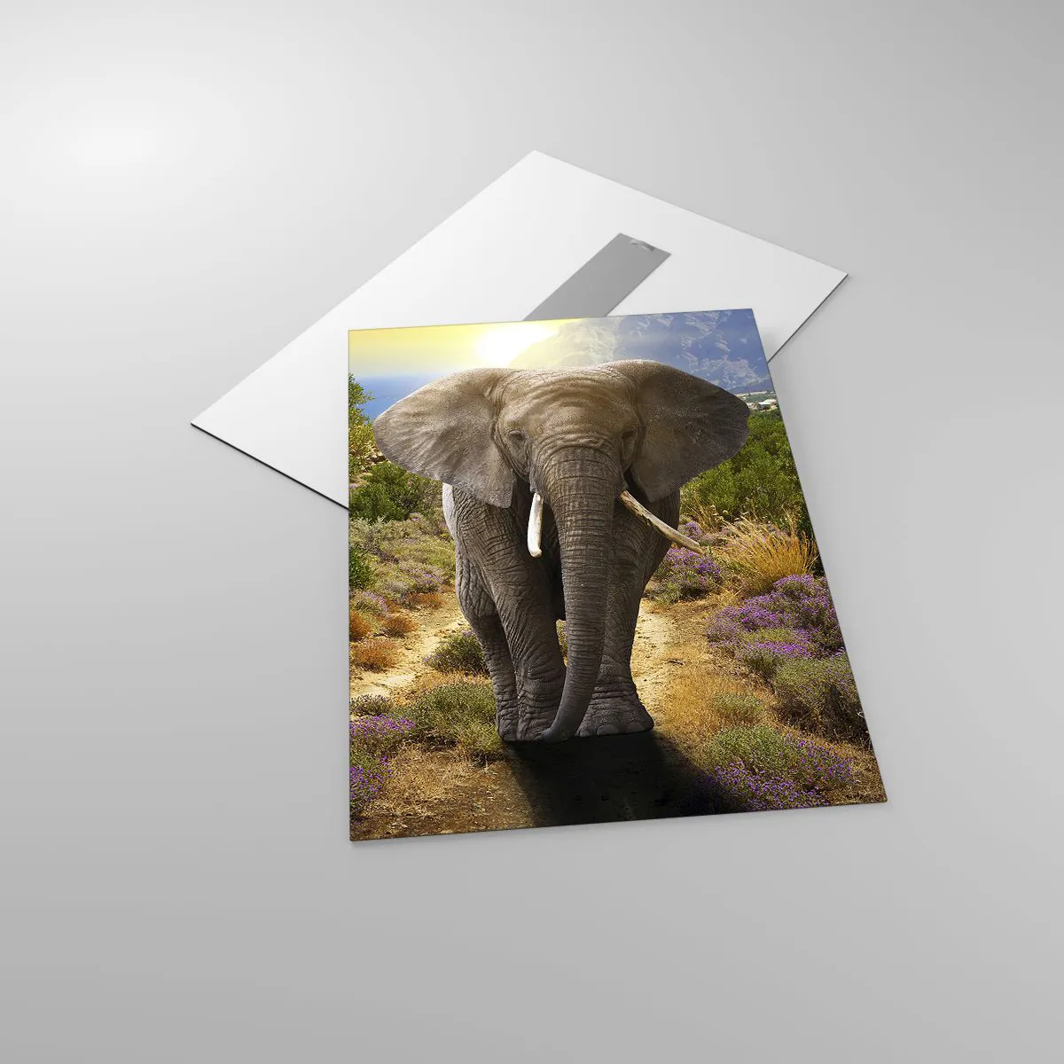 Glass picture - This is What Eden Looked Like - 50x70 cm