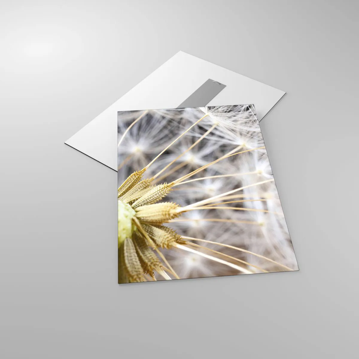 Impression sur verre - Image sur verre - Gros plan d'un pissenlit aux graines délicates - 50x70cm - Juste avant le départ - Décoration murale moderne pour le salon et la chambre ARTTOR