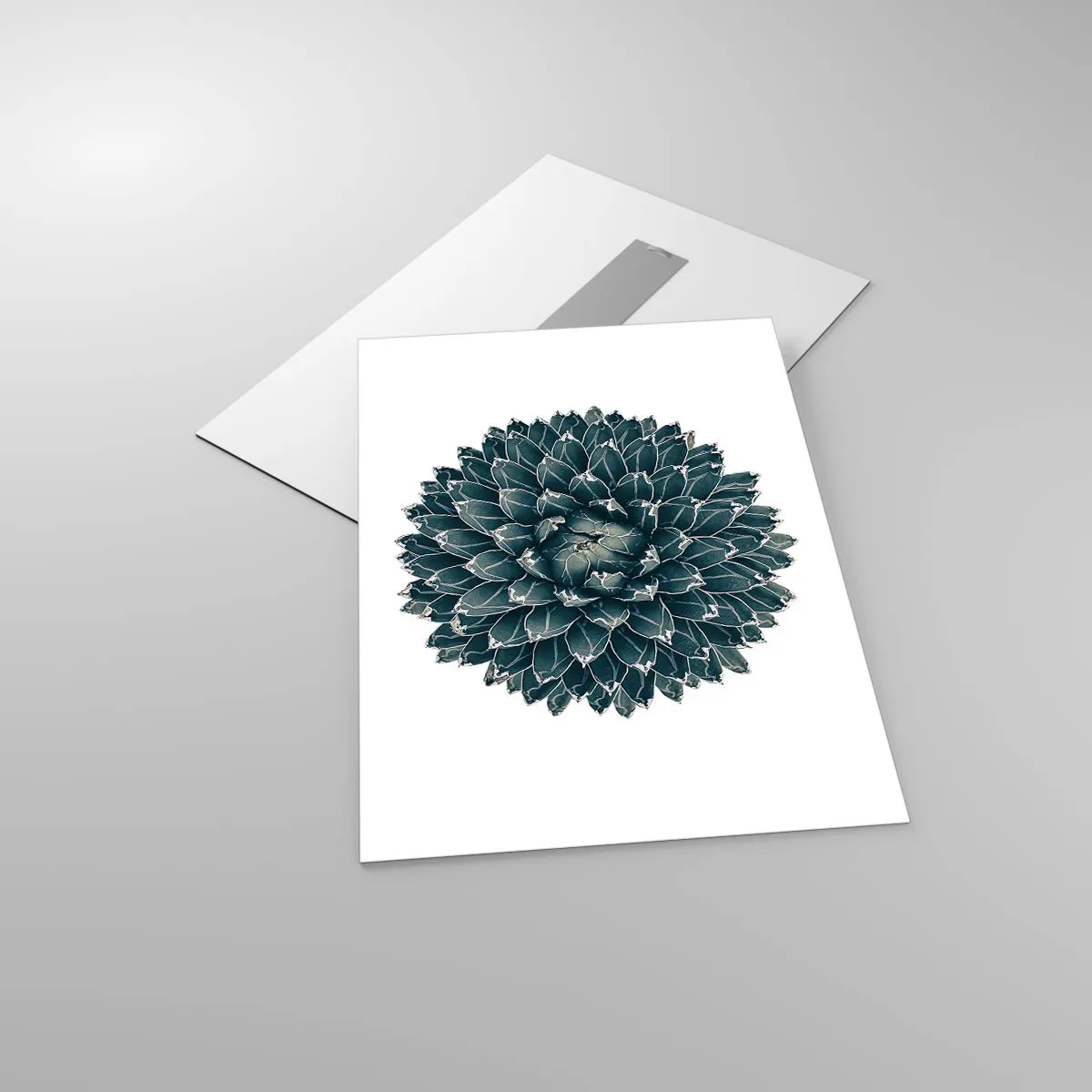 Obraz na szkle - Symetryczny wzór rośliny sukulenta na białym tle - 50x70cm - Gwiazda pustyni - Nowoczesna dekoracja ścienna do salonu, kuchni i sypialni ARTTOR