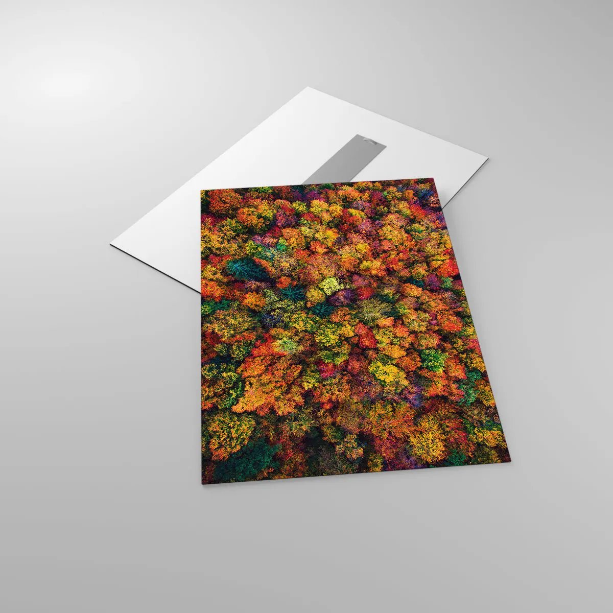 Üveg kép - Őszi facsokor - 50x70 cm