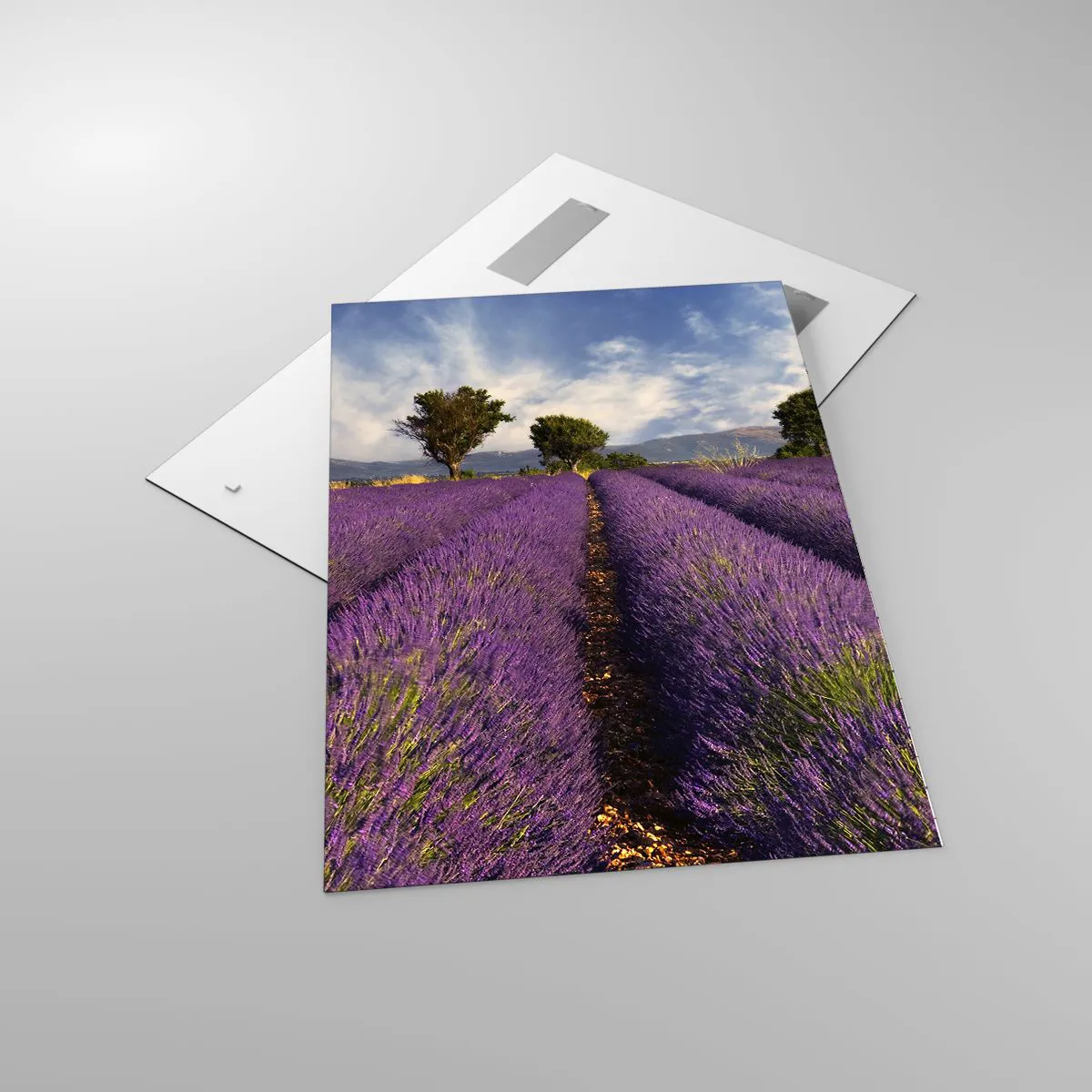 Üveg kép - Levendula mezők - 70x100 cm