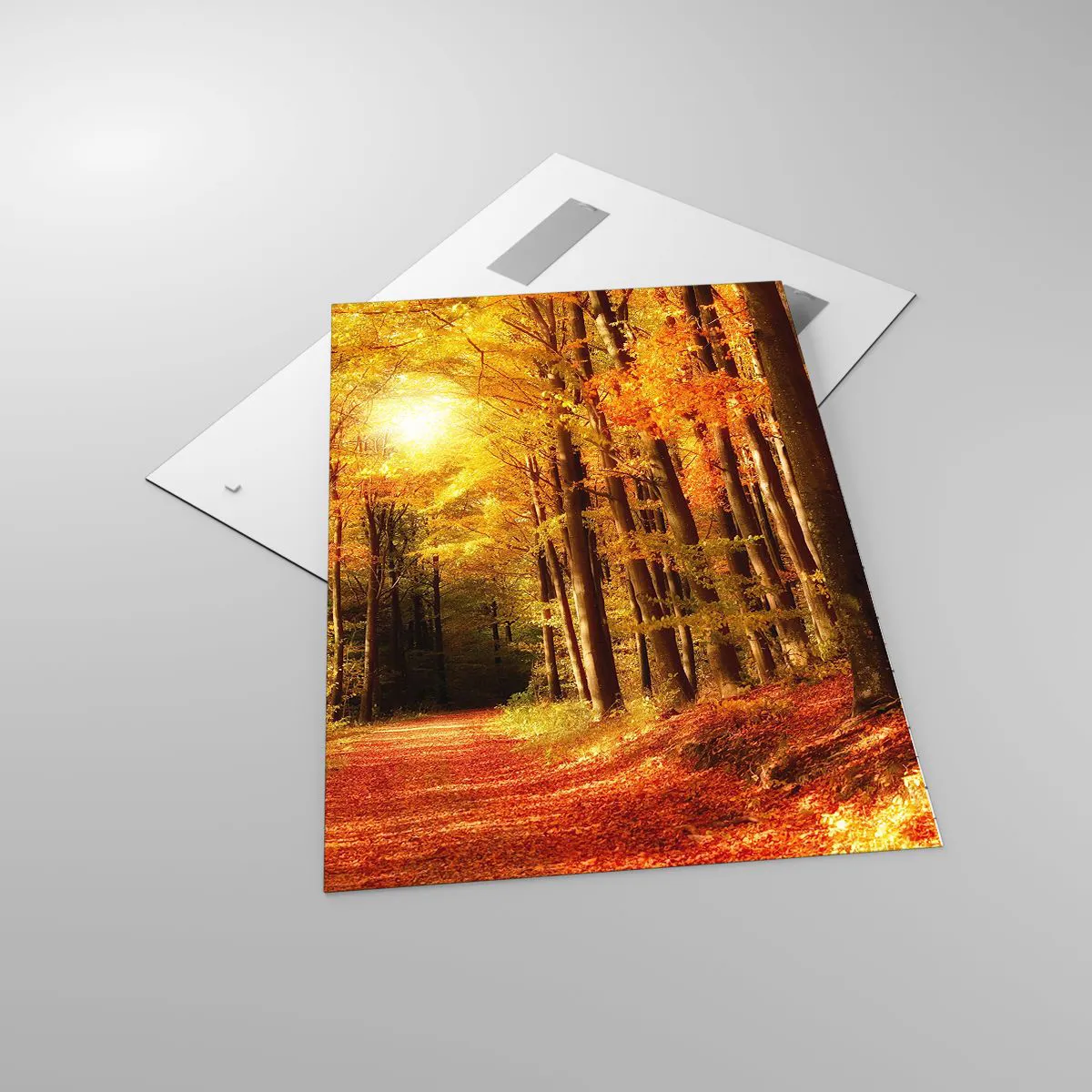 Quadro su vetro - Foresta autunnale con raggi di sole che brillano attraverso gli alberi - 70x100cm - Autunno dorato nella via nel bosco - Decorazione murale moderna per soggiorno e camera da letto ARTTOR