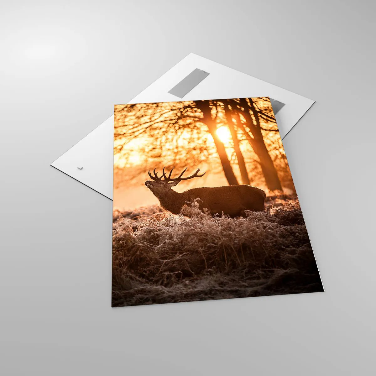 Impression sur verre - Image sur verre - Deux cerfs au coucher du soleil dans un paysage hivernal - 70x100cm - Le rêve d'un chasseur - Décoration murale moderne pour le salon et la chambre ARTTOR