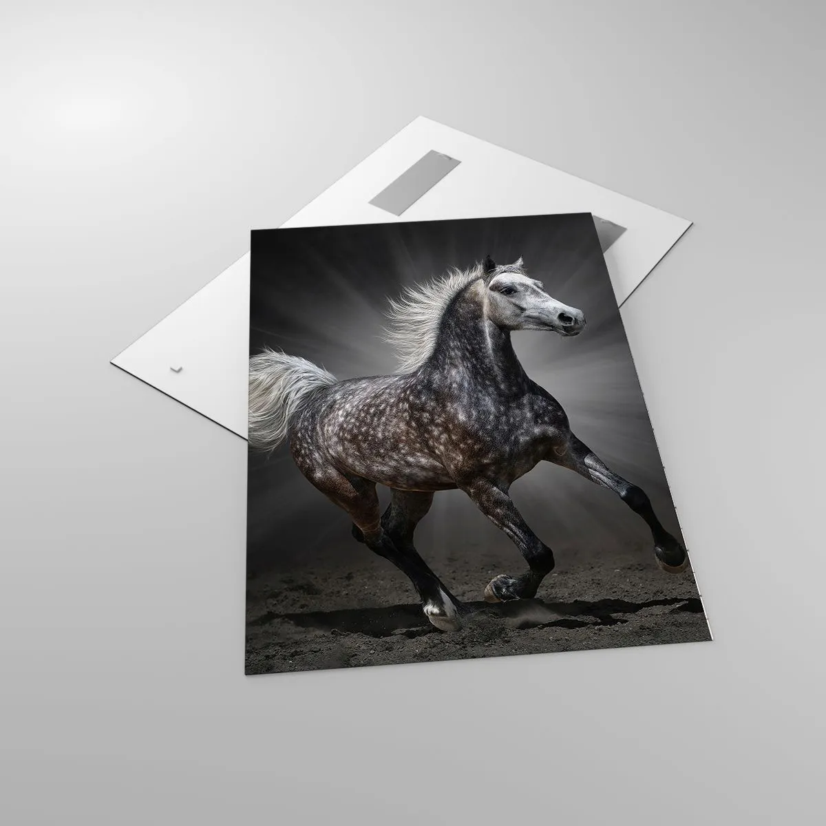 Glass picture - Grey Is Beautiful - 70x100 cm