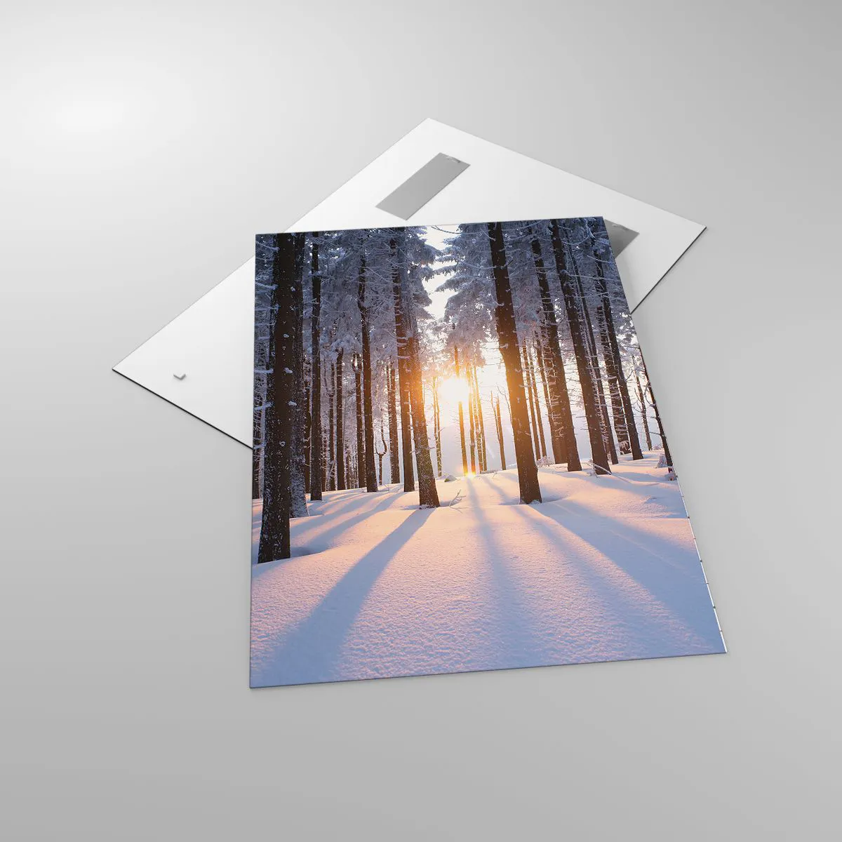 Cuadro sobre vidrio - Impresiones sobre Vidrio - Bosque invernal iluminado por los rayos del sol. - 70x100cm - Claramente en blanco y negro - Decoración de pared moderna para salón y dormitorio ARTTOR