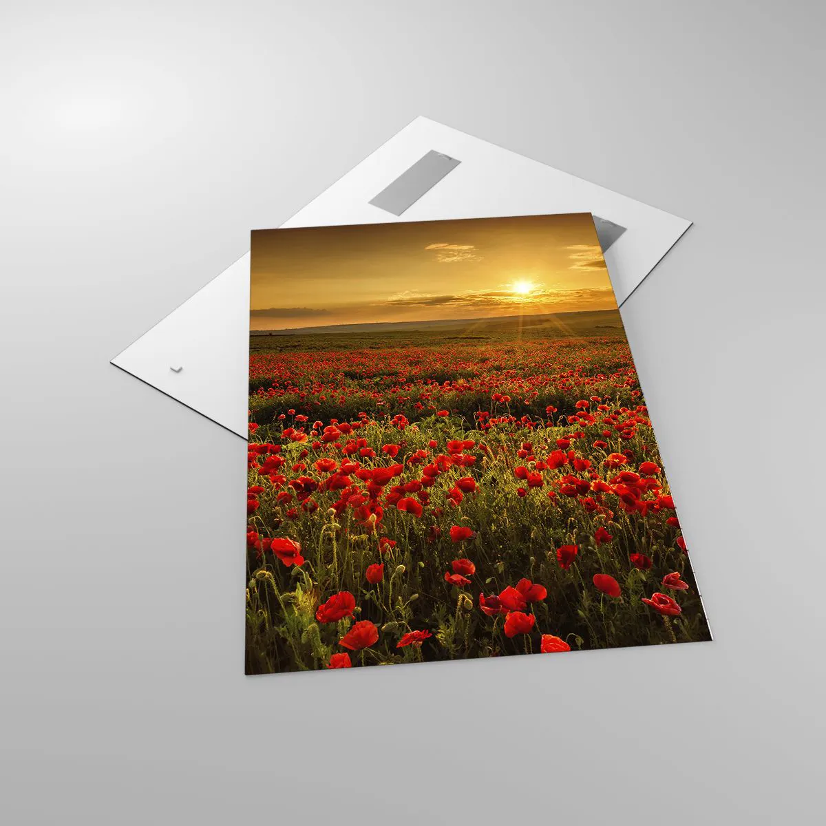 Cuadro sobre vidrio - Impresiones sobre Vidrio - Un campo de amapolas rojas bajo el resplandor del sol poniente. - 70x100cm - Entre los campos de flores - Decoración de pared moderna para salón y dormitorio ARTTOR