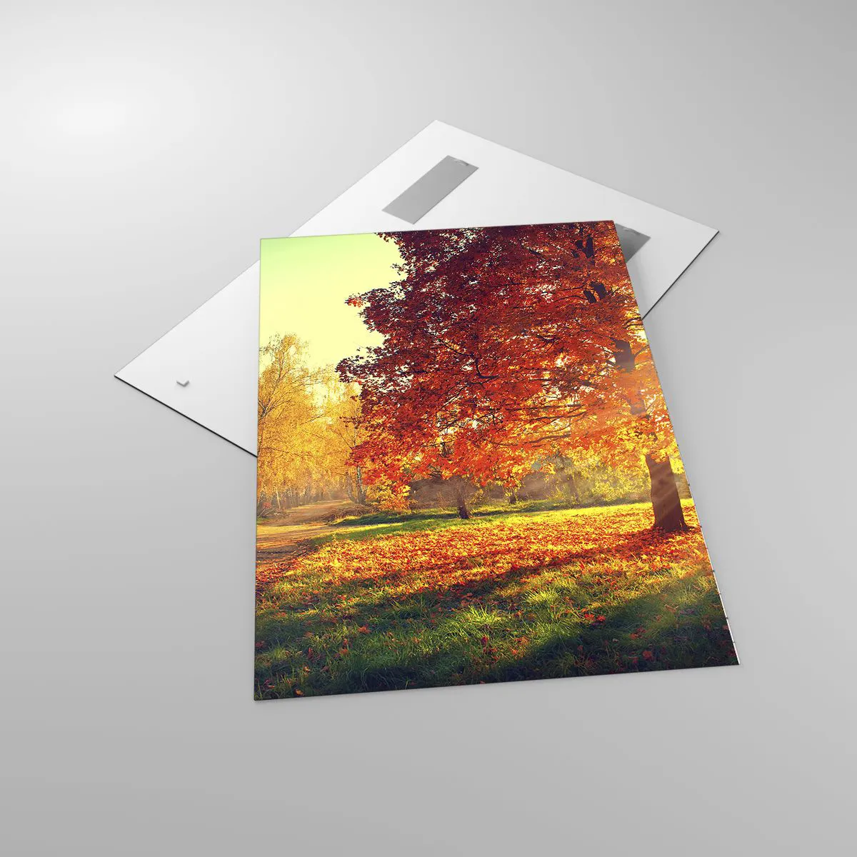 Tablou pe sticlă - Roșcatul este frumos - 70x100 cm