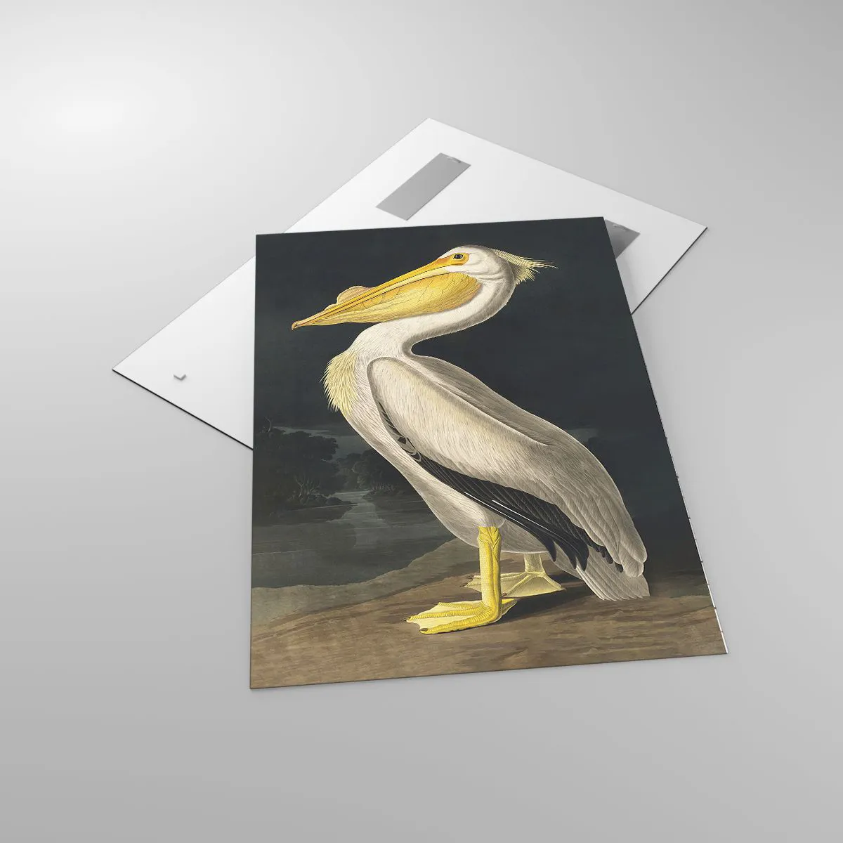 Cuadro sobre vidrio - Impresiones sobre Vidrio - Con orgullo - 70x100 cm