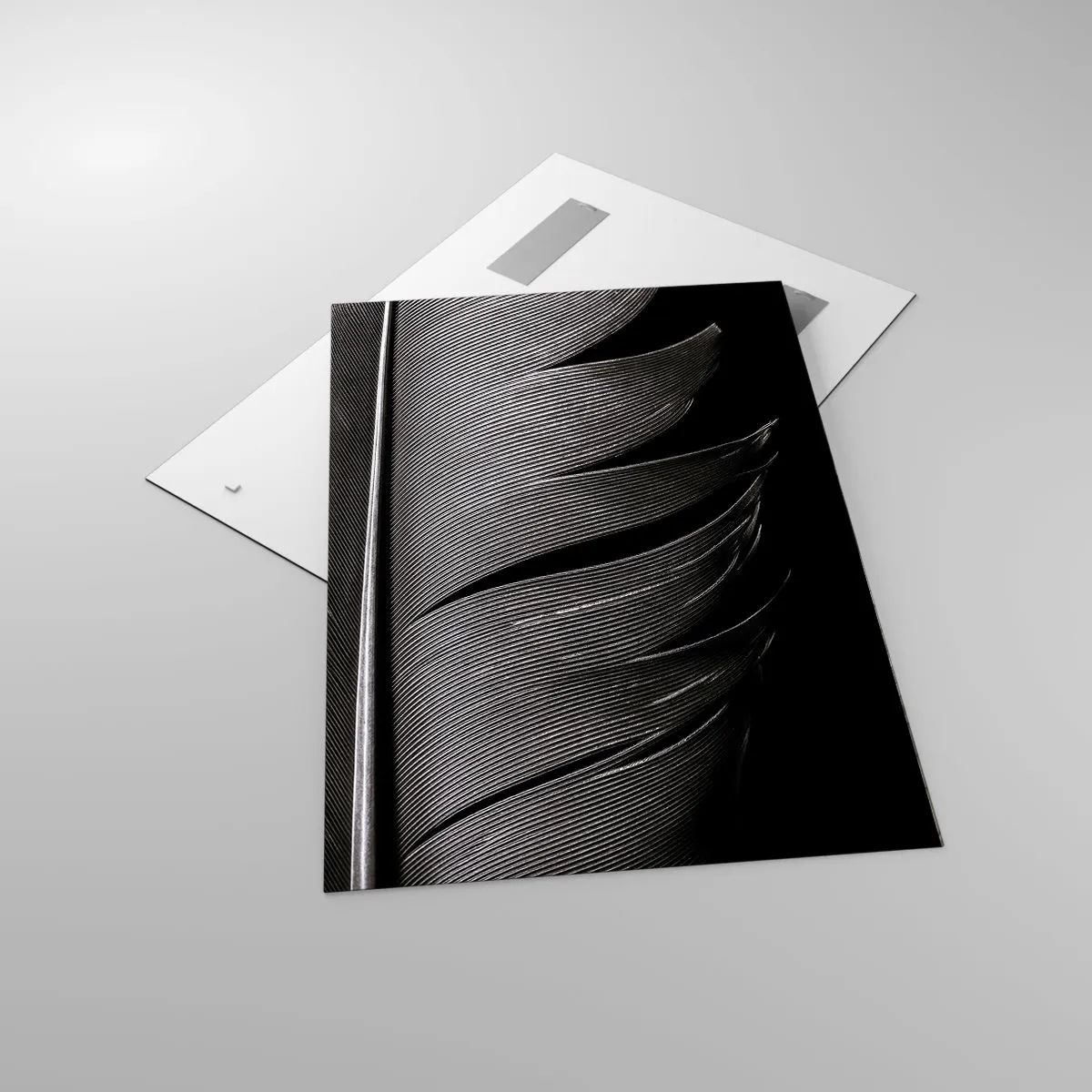 Glastavla - Bild på glas - Fjäder - en underbar konstruktion - 70x100 cm