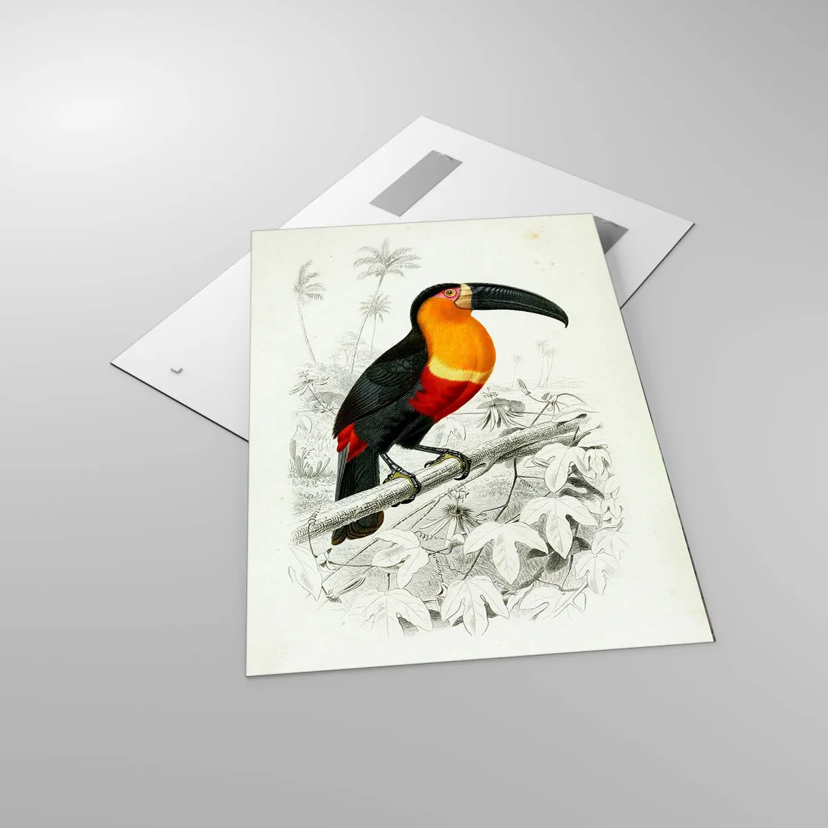 Glastavla - Bild på glas - Fåglarnas färger - 70x100 cm