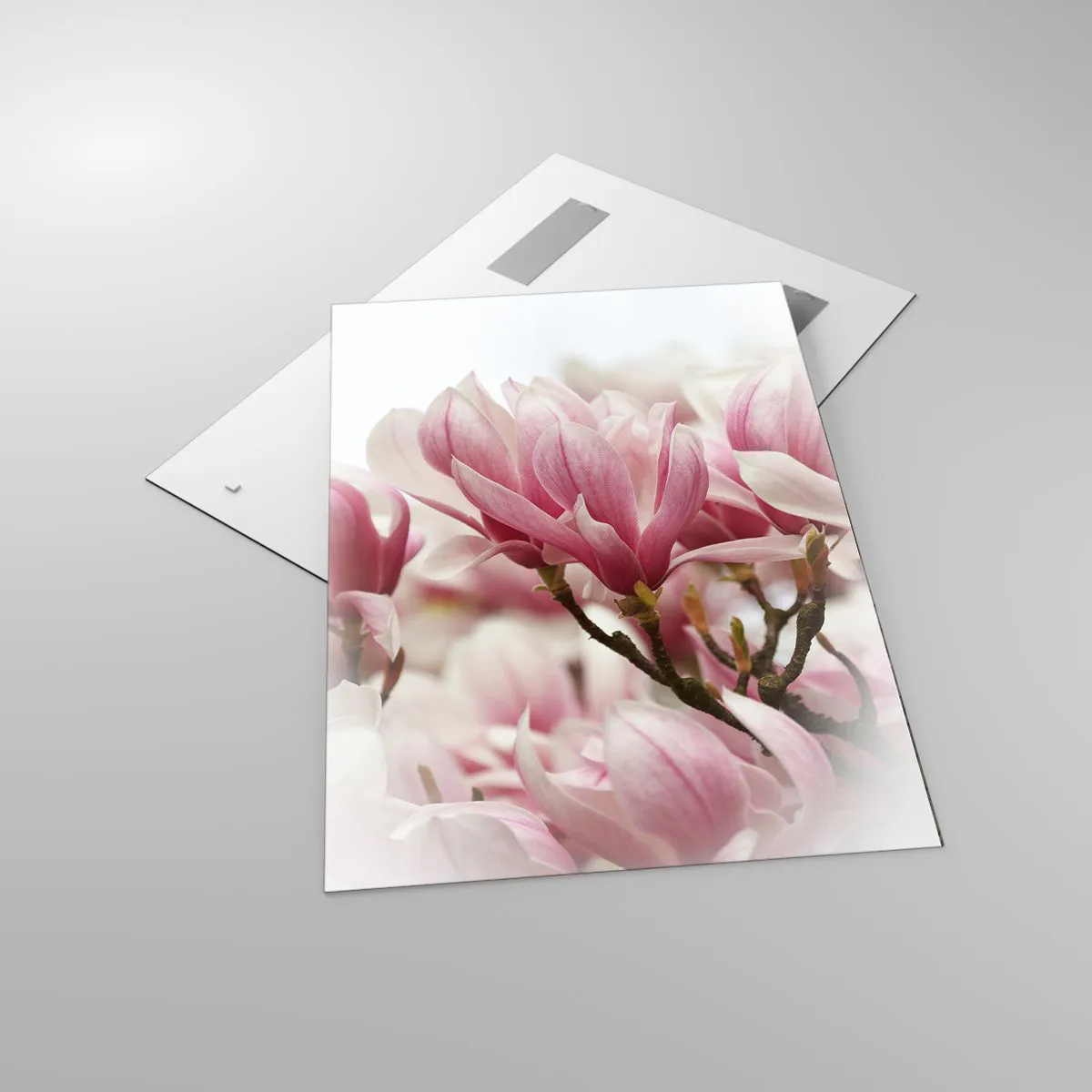 Impression sur verre - Image sur verre - Fleurs de printemps - 70x100 cm