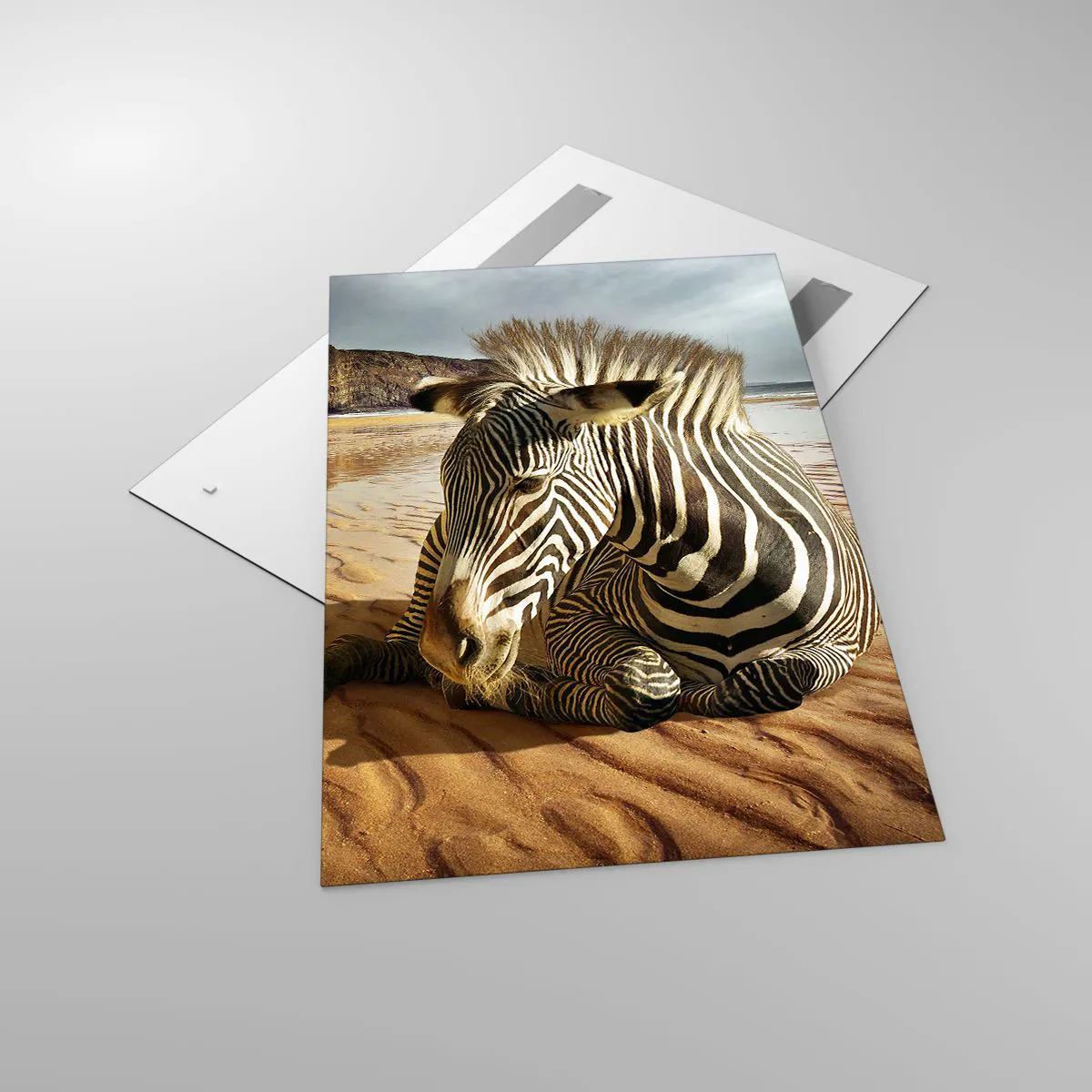 Obraz na skle - Hodíme sa k sebe - 80x120 cm