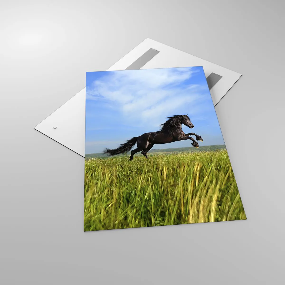 Impression sur verre - Image sur verre - Un cheval noir courant contre un ciel bleu et une prairie verte - 80x120cm - Un manifeste de liberté passionnant - Décoration murale moderne pour le salon et la chambre ARTTOR