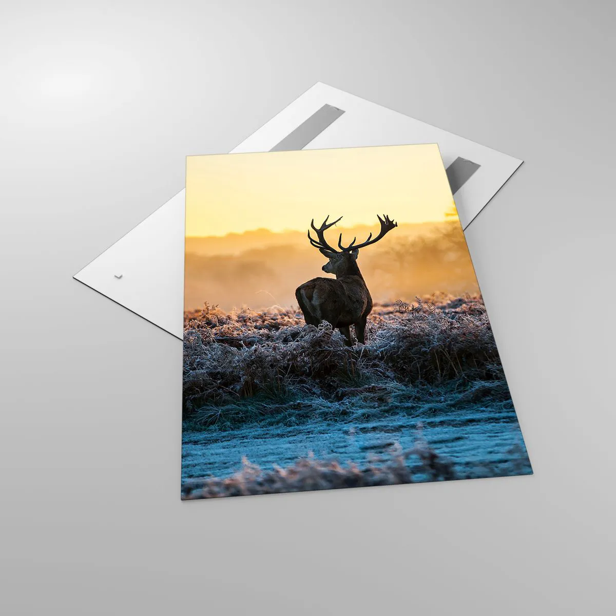 Quadro em vidro - Coroado em sua terra - 80x120 cm