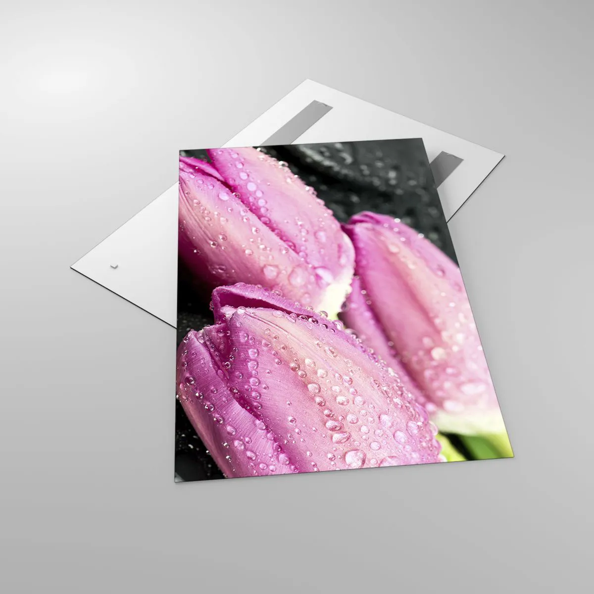 Impression sur verre - Image sur verre - Trois tulipes roses avec des gouttes d'eau sur fond noir - 80x120cm - Lilas trois sur une pierre noire - Décoration murale moderne pour le salon et la chambre ARTTOR