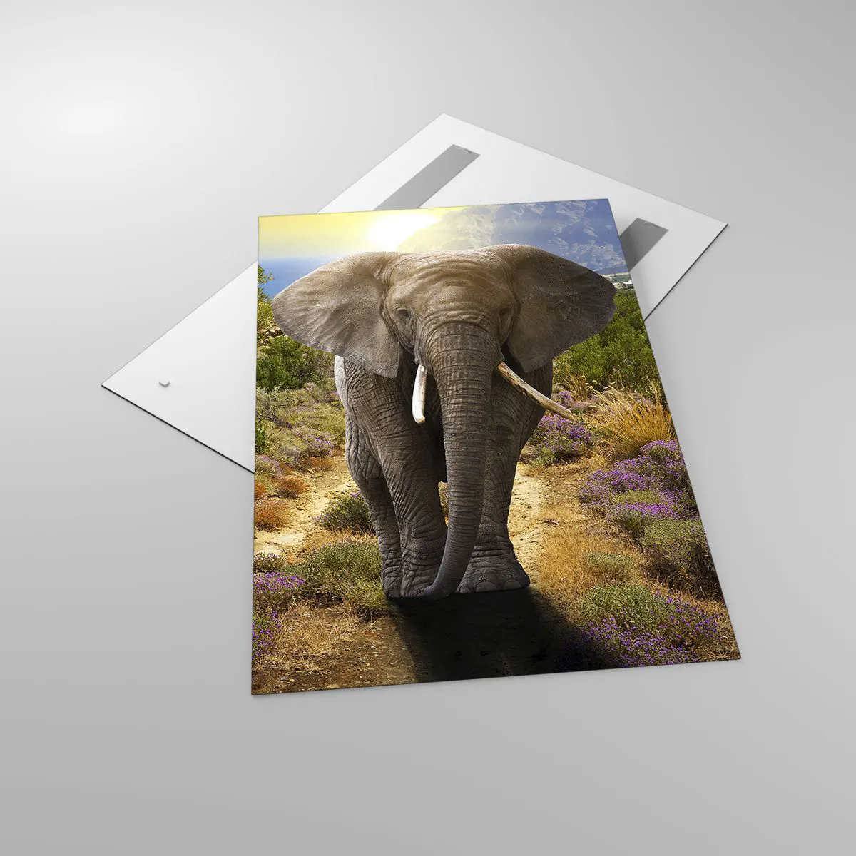 Glass picture - This is What Eden Looked Like - 80x120 cm