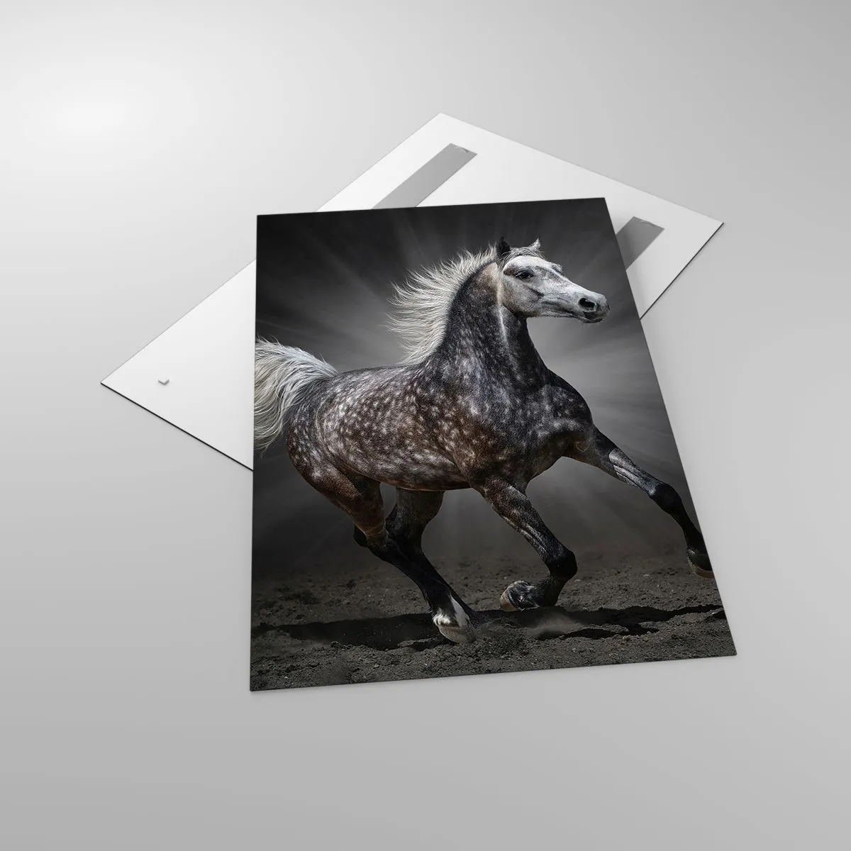 Schilderen op glas - Grijs is mooi - 80x120 cm