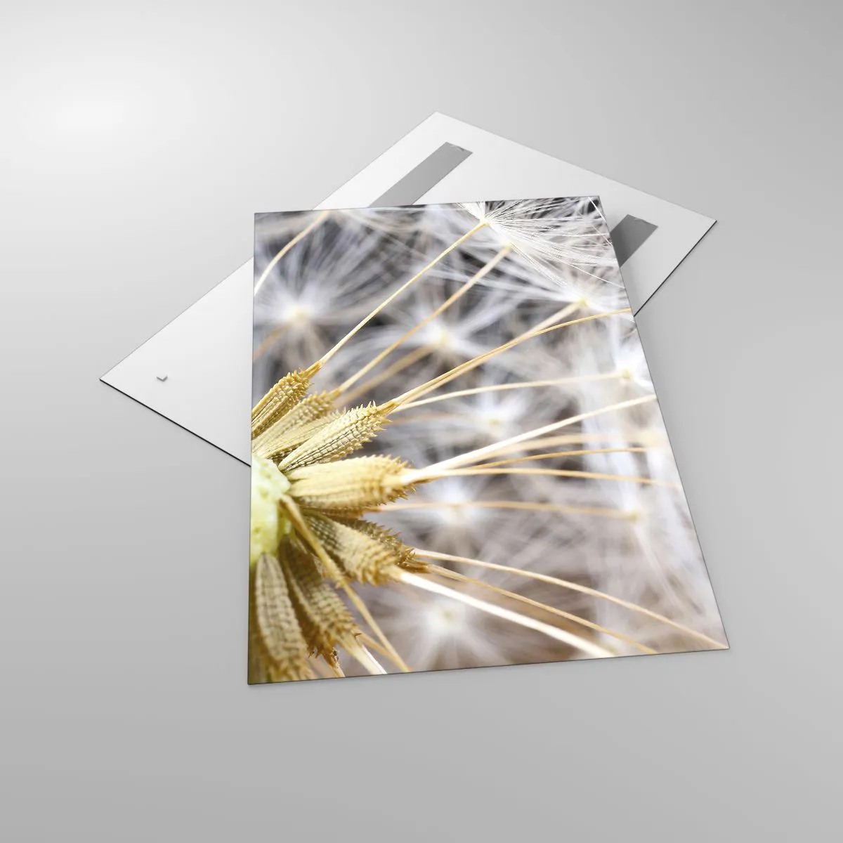 Tablou pe sticlă - Chiar înainte de zbor... - 80x120 cm