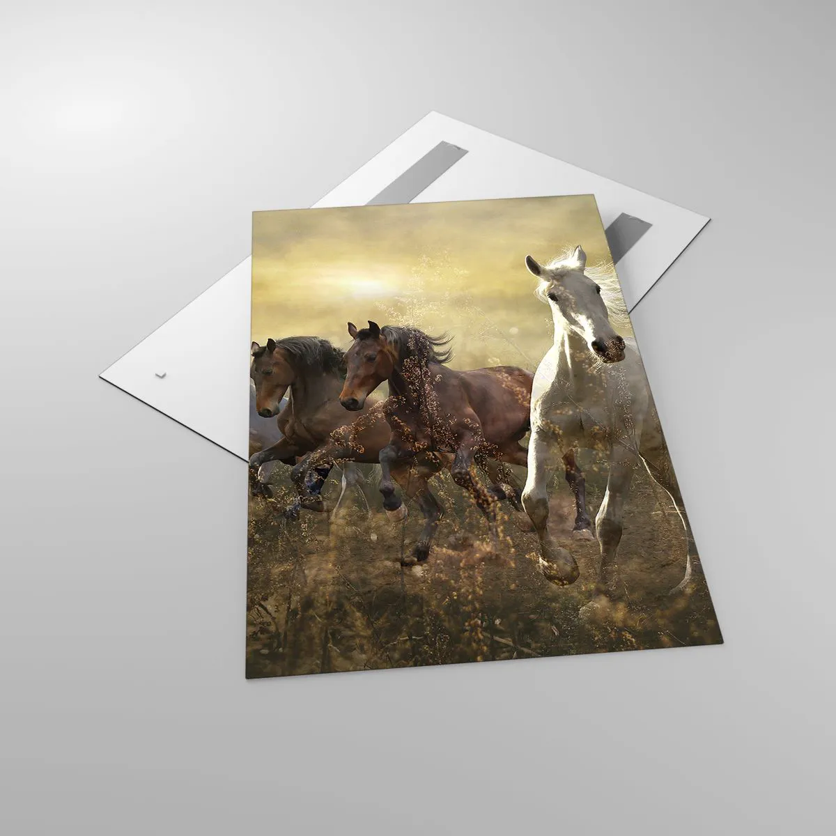 Quadro em vidro - Viva a liberdade! - 80x120 cm