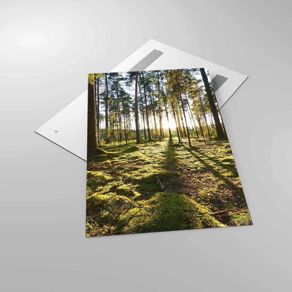 Quadro em vidro - ...Além das sete florestas - 80x120 cm