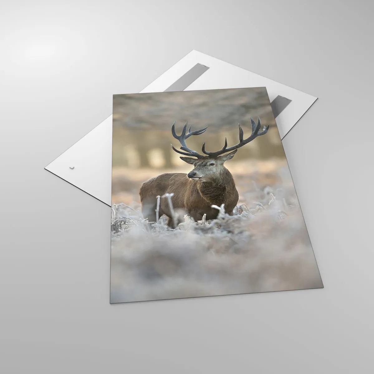 Cuadro sobre vidrio - Impresiones sobre Vidrio - Un ciervo en un claro helado en un bosque invernal con colores sutiles. - 80x120cm - Una mañana fresca - Decoración de pared moderna para salón y dormitorio ARTTOR