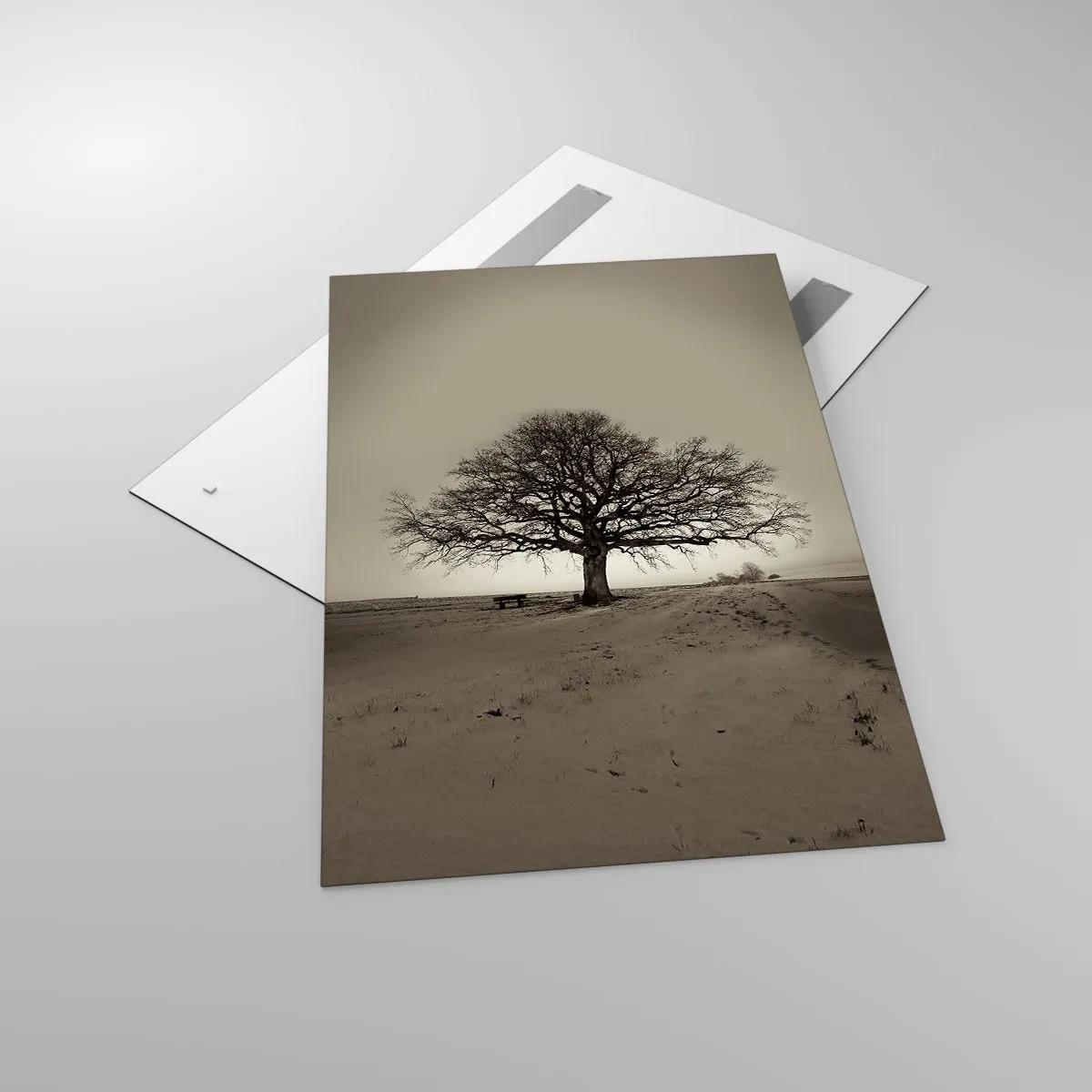 Glasbild - Bild auf glas - Ein einsamer Baum in einem Sepia-Feld - 80x120cm - Von hier zu Ewigkeit - Moderne Wanddekoration für Wohnzimmer und Schlafzimmer ARTTOR