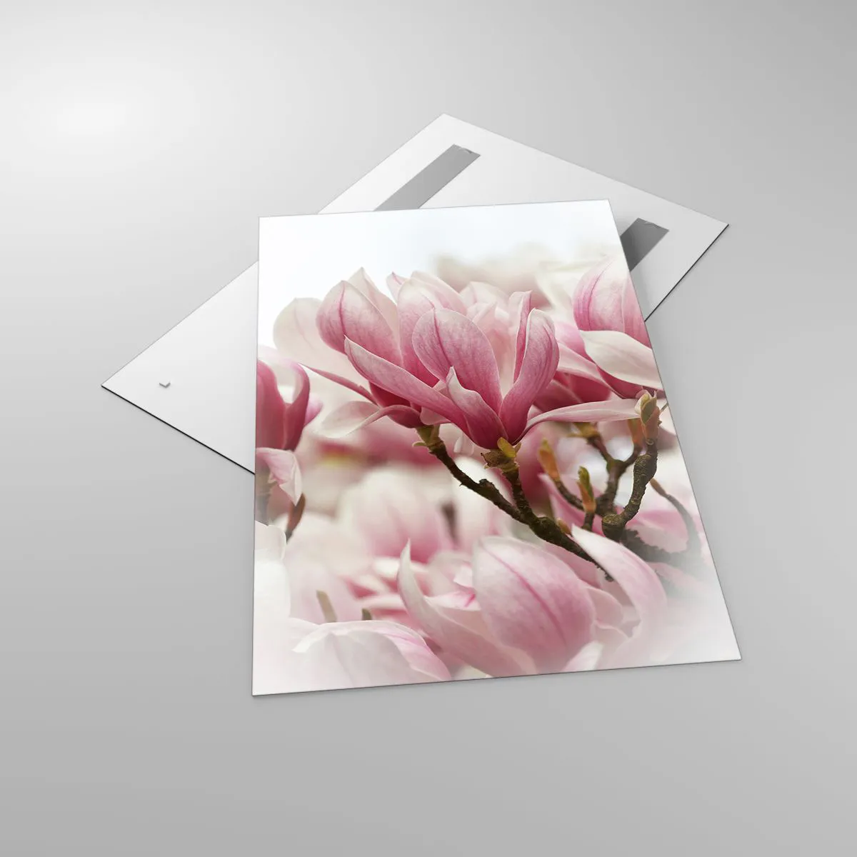 Impression sur verre - Image sur verre - Fleurs de printemps - 80x120 cm