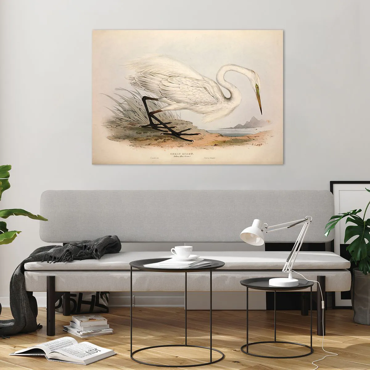 Obraz na skle - Pani rákosín - 100x70 cm