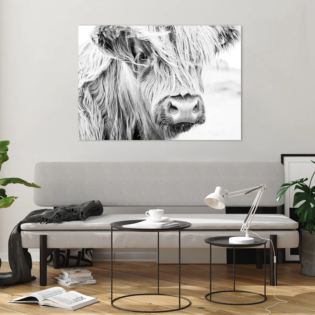 Obraz na szkle - Zbliżenie długowłosego szkockiego bydła w czerni i bieli - 100x70cm - Szkocka dzikość - Nowoczesna dekoracja ścienna do salonu, kuchni i sypialni ARTTOR