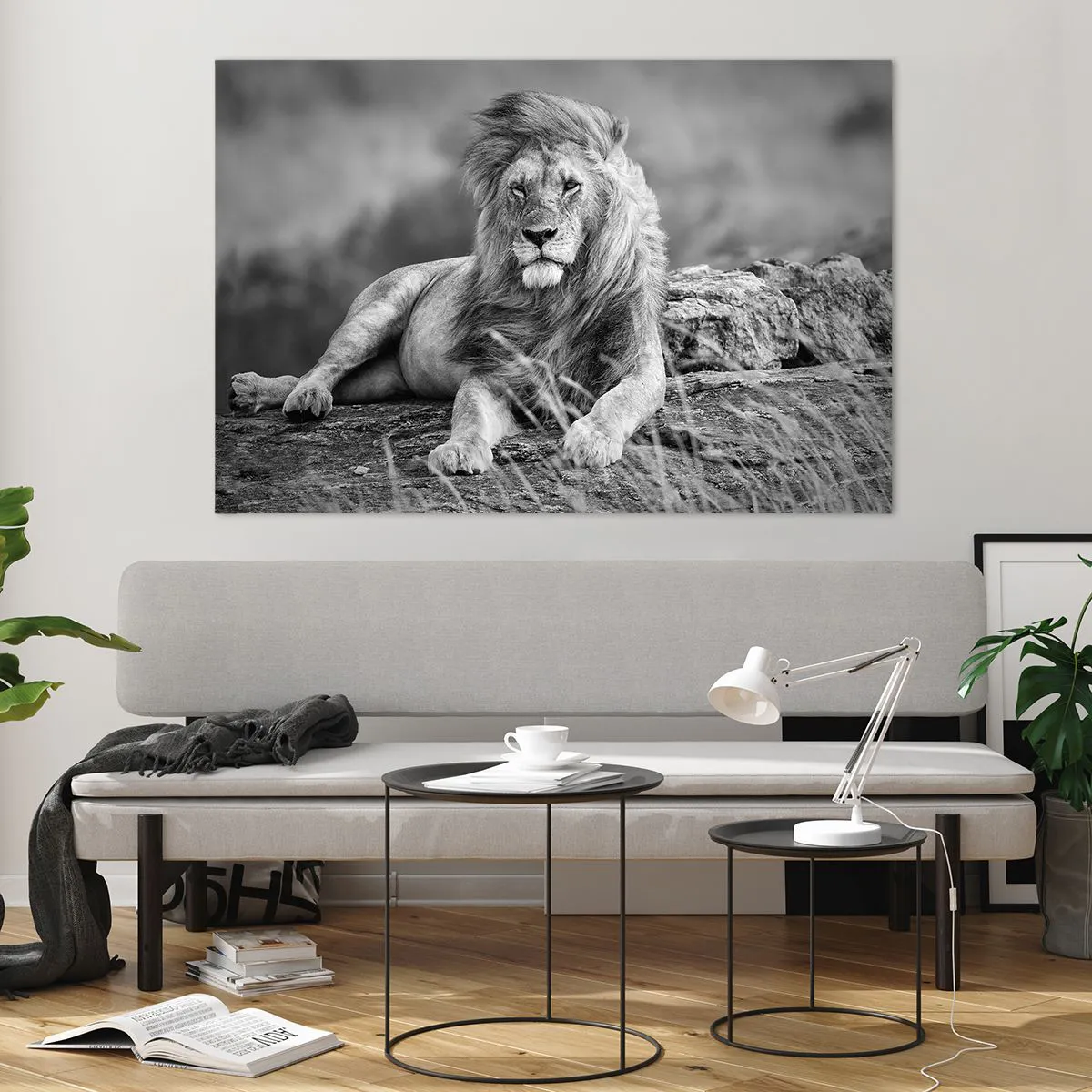 Impression sur verre - Image sur verre - Un lion reposant sur un rocher dans un paysage monochrome. - 120x80cm - Sieste royale - Décoration murale moderne pour le salon et la chambre ARTTOR