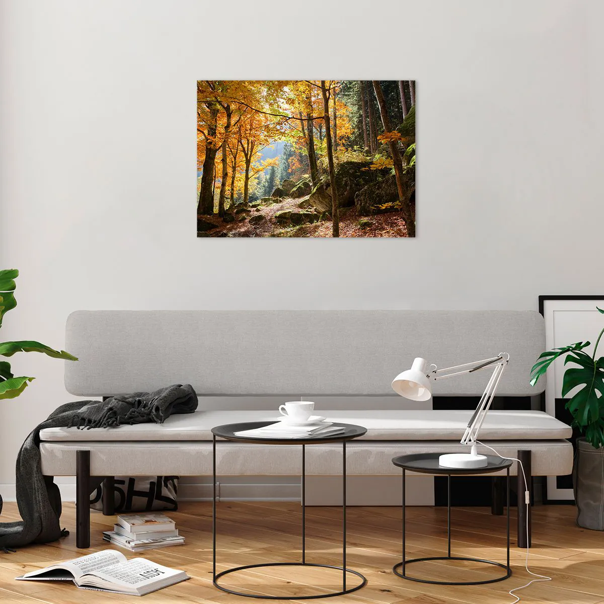 Obraz na skle - Jesenný les so slnečnými lúčmi a kameňmi - 70x50cm - Čas na odpočinok - Moderná nástenná dekorácia do obývacej izby a spálne ARTTOR