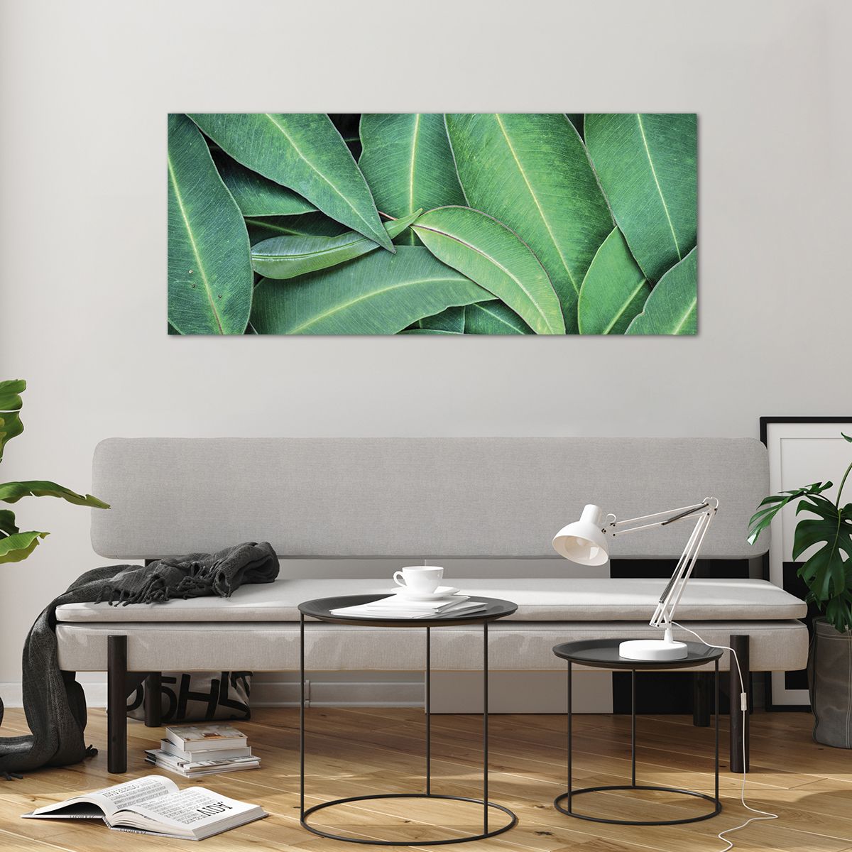 Üveg kép Levelek, Üveg kép Eukaliptusz, Üveg kép Természet, Üveg kép Trópusi Növény, Üveg kép Növényvilág