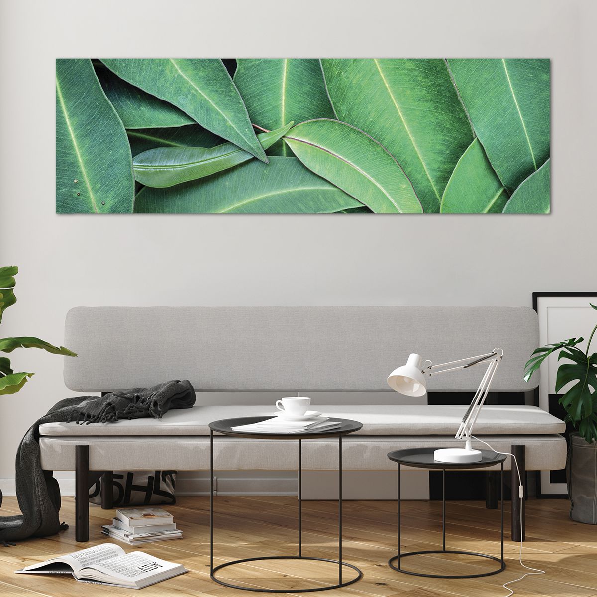 Bild på glas Löv, Bild på glas Eukalyptus, Bild på glas Natur, Bild på glas Tropisk Växt, Bild på glas Flora