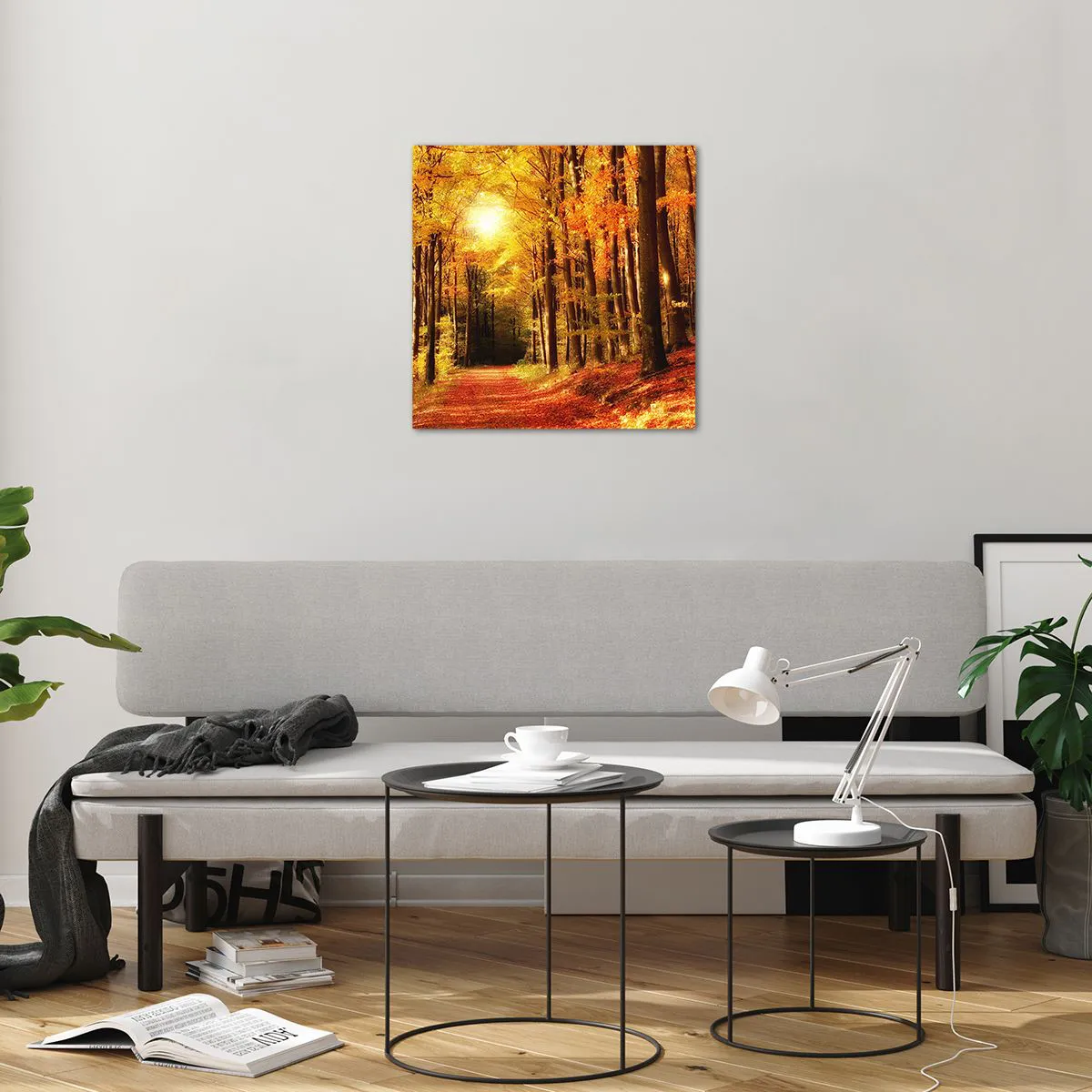 Impression sur verre - Image sur verre - Automne doré sur une route forestière - 50x50 cm