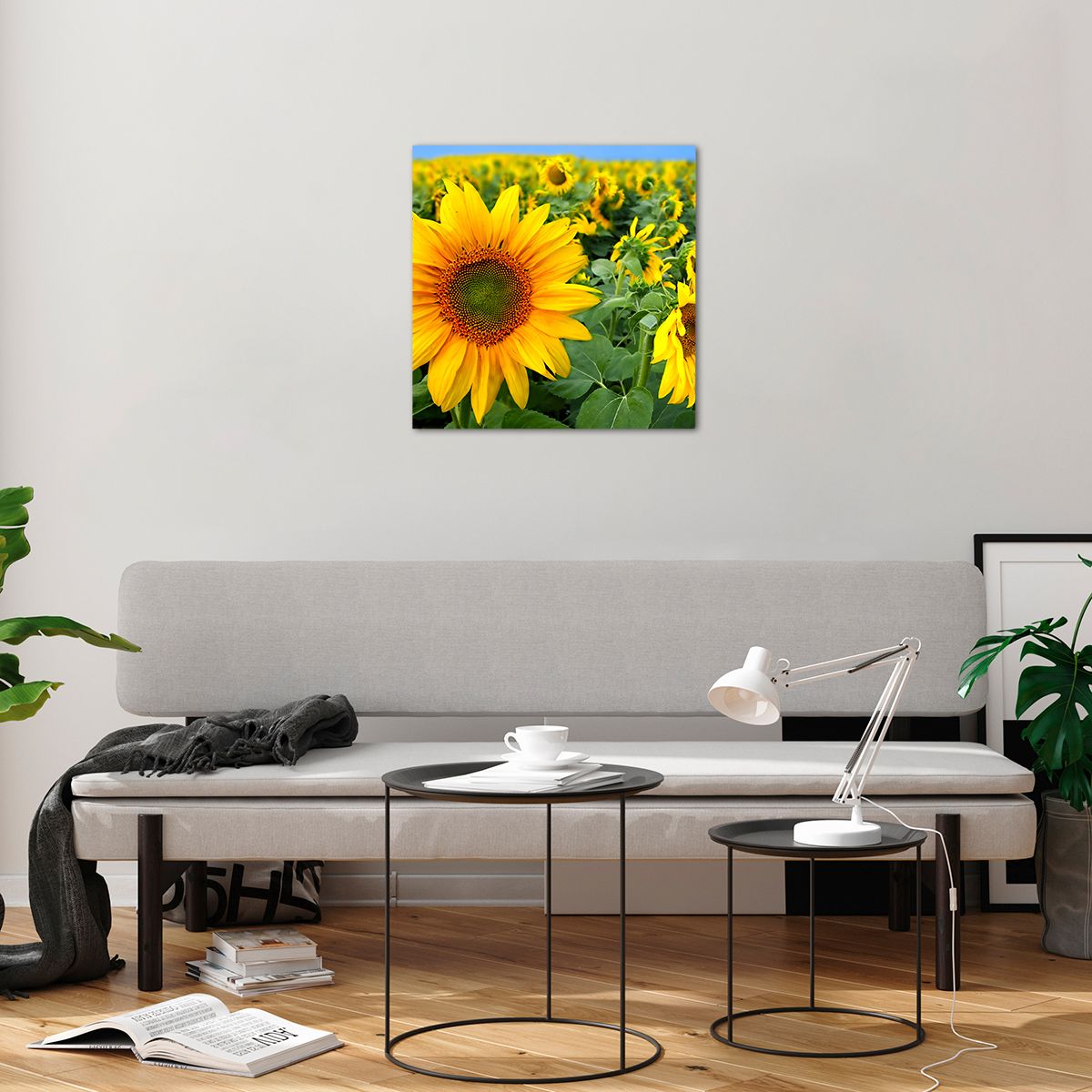 Bilder auf glas Blumen, Bilder auf glas Sonnenblumen, Bilder auf glas Natur, Bilder auf glas Garten, Bilder auf glas Gelbe Blumen