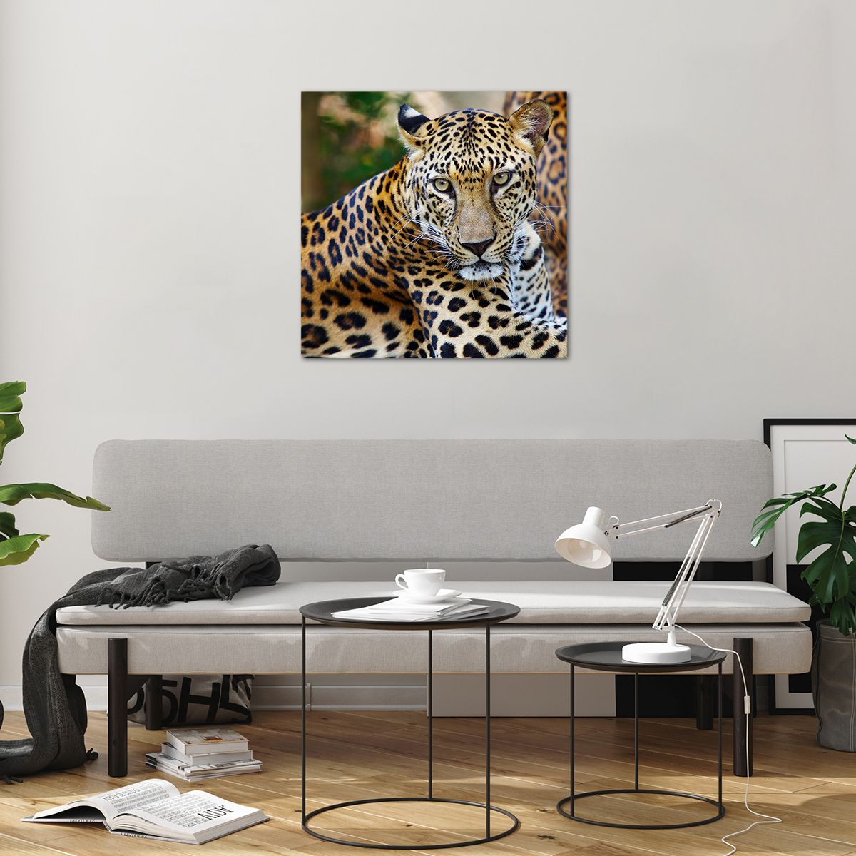 Billede på glas Dyr, Billede på glas Leopard, Billede på glas Afrika, Billede på glas Jungle, Billede på glas Vildt dyr