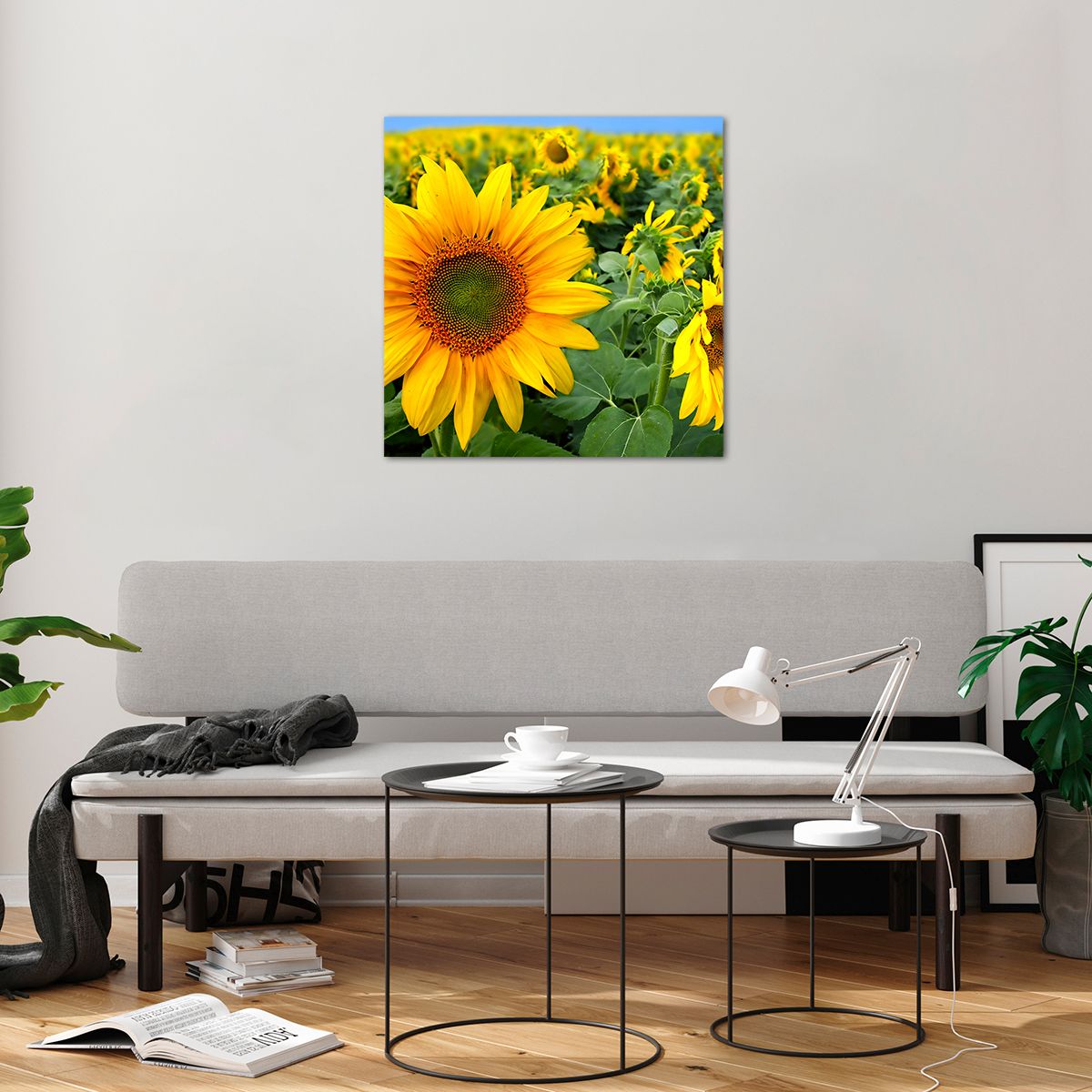 Bilder auf glas Blumen, Bilder auf glas Sonnenblumen, Bilder auf glas Natur, Bilder auf glas Garten, Bilder auf glas Gelbe Blumen