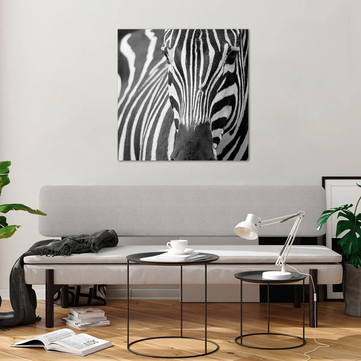 Billede på glas - Verden er sort og hvid - 70x70 cm