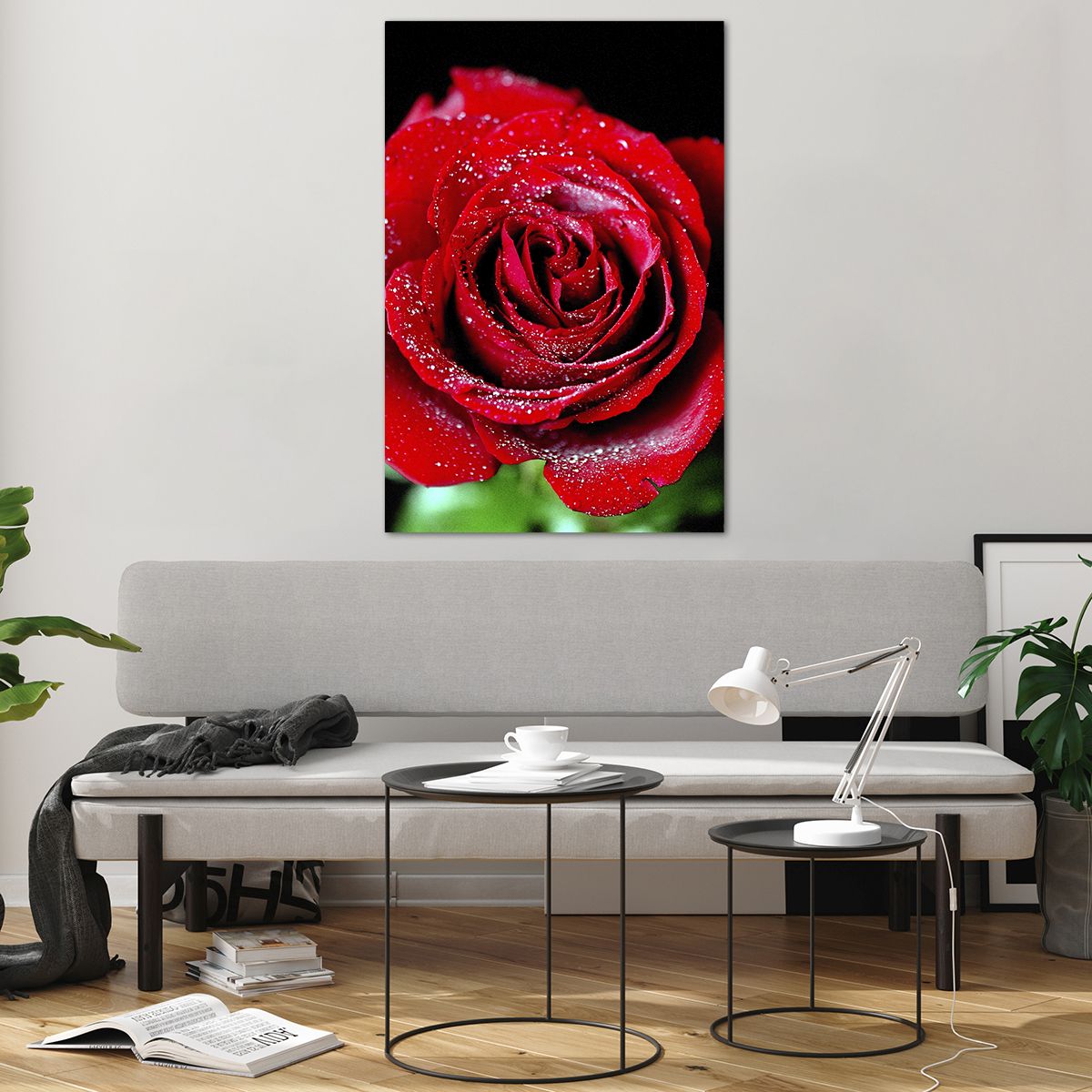 Billede på glas Blomster, Billede på glas Rød rose, Billede på glas Rosenblade, Billede på glas Elsker, Billede på glas Vanddråber