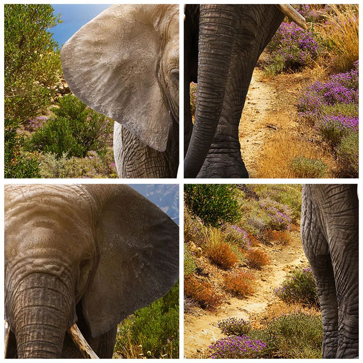 Cuadro sobre vidrio - Impresiones sobre Vidrio - Este es el aspecto del Edén - 30x30 cm